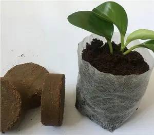 Turfpellets Starterspods Helpt Wortelschokken Te Voorkomen Voor Het Planten Van Kruidenbloemgroenten