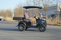 Carrito de Golf Eléctrico de Alta Calidad con 2 Asientos, Homologado para Circular por la Calle, con Batería de Litio y Neumáticos Todoterreno para Turismo