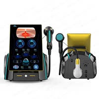 Appareil de thérapie électromagnétique portable pour soulager la douleur, masseur pour la relaxation musculaire et la physiothérapie