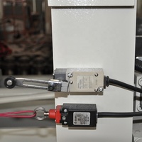 Presse hydraulique à chaud à trois couches de 200 tonnes, 1300*3200, machine à aplanir le placage multicouche pour panneaux de bois