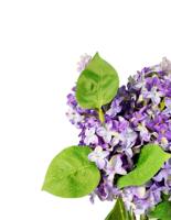 Bunga Hydrangea Buatan Bentuk Kerucut Warna Ungu Musim Gugur, Buket Romantis, Bunga Hydrangea Paniculata Buatan untuk Taman dan Pernikahan