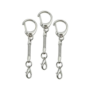 Influencer Style Zinc Alloy USB Drive Lanyard Metal Snake Chain Keychain DIY <b>Lobster</b> <b>Clasp</b> Small C-Ring Toy Accessory Charm - Product Image 1