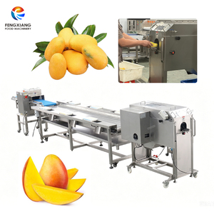 Dénoyauteur de mangues, table de tri manuelle et machine à trancher, ligne de traitement de mangues personnalisée - Product Image 1