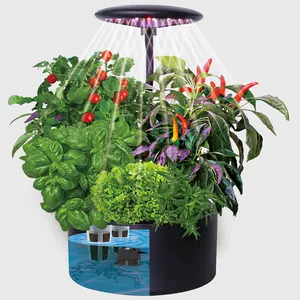 2022新的灰色黑色6盆植物自浇水盆与水指示器自浇水植物盆家庭厨房