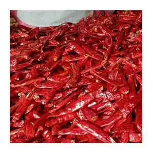 High Quality Dry Red Chilies High Quality New Crop 2021