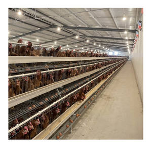 Tel örgü poulailler katlanabilir tavuk kafes 1880*2320*1830 kümesleri - Product Image 3