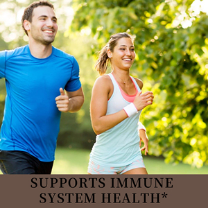 OEM ODM Mocha Shake Mix Powder Meal Replacement Protein Supports Vitality Muscle Support Recovery Metabolism Manage Hunger - Product Image 3