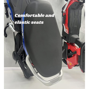 Vélo électrique économique de 14 pouces <span class=keywords><strong>pour</strong></span> les navetteurs, avec boîte à batterie amovible <span class=keywords><strong>pour</strong></span> un chargement facile, vélo électrique à batterie au plomb - Product Image 4