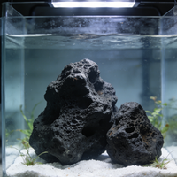 Pierres volcaniques naturelles rouges et noires pouvant être mélangées, utilisées pour le traitement de l'eau dans le jardinage et l'aménagement aquatique des aquariums