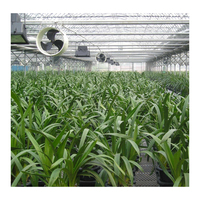 Feuilles en polycarbonate pc, 4mm, 6mm, 8mm, 10mm, vente en gros, usine