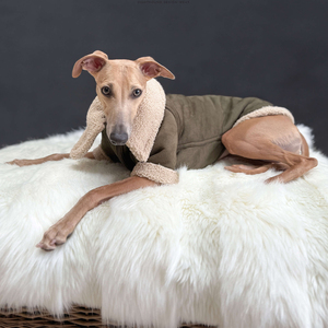 Chaqueta de perro de lujo personalizada Qiqu para galgos italianos <span class=keywords><strong>ropa</strong></span> cálida de invierno para mascotas nuevo diseñador estilo clásico hecho de poliéster - Product Image 2