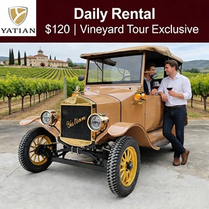 Coche Turístico Eléctrico Antiguo Yatian <span class=keywords><strong>de</strong></span> 5 Plazas - Costo <span class=keywords><strong>de</strong></span> $8000, <span class=keywords><strong>Alquiler</strong></span> Diario <span class=keywords><strong>de</strong></span> $120, Punto <span class=keywords><strong>de</strong></span> Equilibrio en 67 Días para Complejos Turísticos - Product Image 4