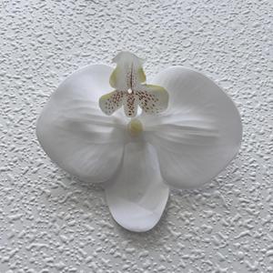 Cabezas de Orquídea Phalaenopsis, Rama Individual, Decoraciones Artificiales para Bodas, Hechas a Mano, Reutilizables, Accesorios para Exteriores, Decoración del Hogar - Product Image 3