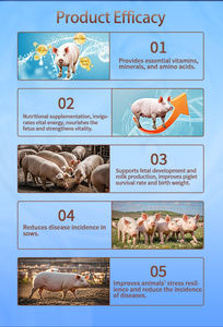 Premezcla de aditivos alimentarios con vitaminas y <span class=keywords><strong>amino</strong></span>ácidos para un rápido crecimiento de cerdas y lechones - Product Image 4