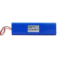 Beste Keuze Oplaadbare Aangepaste Lsy 9V 3000Mah Lifepo4 Batterij Met Beschermende Circuit