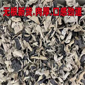 Le champignon ressemble au champignon noir des marchandises sèches Mangez des aliments avec un mélange cru et rafraîchissant - Product Image 3