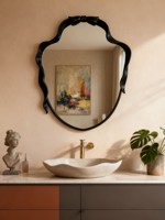 Miroir de salle de bain mural en bois de style rétro européen, forme extraterrestre, avec lampe LED tactile, miroir de maquillage pour entrée