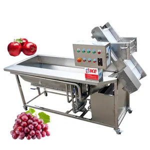 Apple Grapes Washing Machine Vegetable and Fruit Commercial Eddy Current Washer Price IKE Provided Automatic 1 Unit