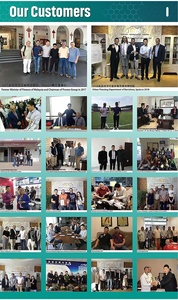 2025 Nueva Tecnología estilo europeo casa prefabricada estilo europeo prefabricado hormigón paneles sándwich edificio - Product Image 3