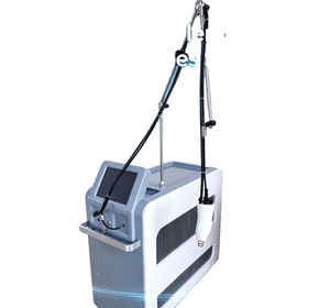 Appareil de massage manuel pour le rajeunissement de la peau Alex 755nm 1064nm - Product Image 1