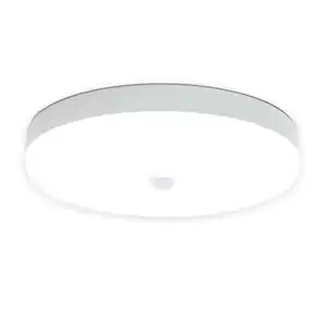 Adjustable Beam Anti-Mosquito Housing Exporting To America Acrylic Round Slim Ceiling Lighting Lamp For Bedroom
