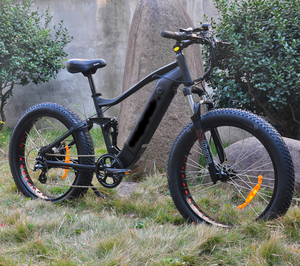 LOHAS vélo de montagne électrique au meilleur prix OEM est disponible ebike pour adulte avec affichage coloré vélo électrique pour la montagne - Product Image 5