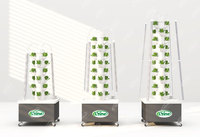 Tour de culture verticale 3P personnalisée Diy Aeroponics Tour hydroponique de jardin