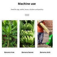Broyeur Électrique de Bananes et de Plantains, Déchiqueteur de Bananes, Coupe-Plantains, Machine Domestique pour Alimentation des Animaux, Petite Taille 45g, Garantie 1 An