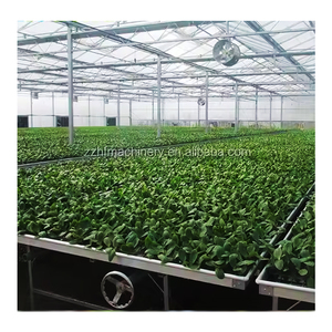 1.7x4.5m Hydroponic Systems Ebb and Flow Rolling <strong>Greenhouse</strong> <strong>Benches</strong> - Product Image 3