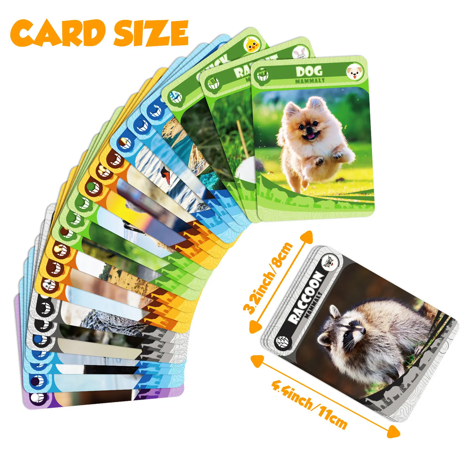 Custom Printing cognitive flash cards parent-child interactive education dinosaur cards hot kindergarten baby teaching play card