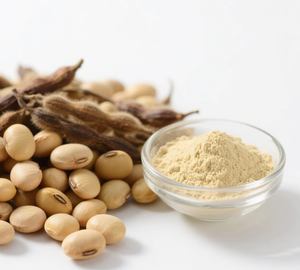 Grosir ekstrak kedelai <span class=keywords><strong>Isoflavone</strong></span> <span class=keywords><strong>40%</strong></span> - Product Image 3