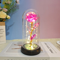 Rose éternelle avec lumières LED, acrylique et plastique, nouveau dôme en verre galaxie pour mariage, Noël, salon, emballé dans une boîte cadeau