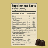 Gummies de Shilajit sans sucre, véganes, 600 mg, 3000 mg, complément minéral haute puissance pour le bien-être quotidien et le soutien immunitaire des adultes