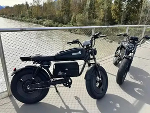 Bicicleta Eléctrica de Último Diseño con Batería de Litio Extraíble de Gran Capacidad 1500W/3000W 48V/60V 60AH, Neumáticos Anchos para Montaña, Nieve y Ciudad - Product Image 3
