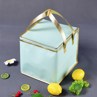 Draagbare niet-geweven aluminiumfolie gravure bedrukte voedselisolatiezak met ritssluiting, op maat verdikt model BWD01 voor cake en fruit