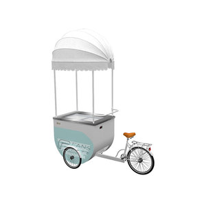 FANS Food Delivery Bike Box Cargo/Ice Cream Bike Street Food Ice Cream Bike Food
