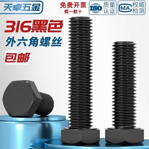 Tianzhuo Hardware Hex Bolts 316 Stainless Steel Black Oxide Finish M4 M5 M6 M8 Class 10.9 12.9 GB Standard - Product Image 2