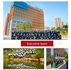 חולצת נשים סגולה-לבנדרית עם צווארון קשירה, שרוולים ארוכים, גזרה צמודה, מתאימה למשרד - Product Image 5