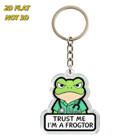 Porte-clés en acrylique 'Trust Me, I'm a Frogtor' : Grenouille grincheuse en blouse médicale avec stéthoscope, breloque transparente double face, accessoire animalier