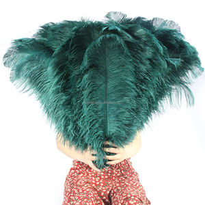 Pabrik Terkemuka Produk Kerajinan Bulu Berkualitas Terbaik Bulu Burung Unta 55-60 cm Bulu Burung Unta Berwarna untuk Dekorasi - Product Image 2