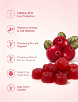 Gummies Probiotiques pour Femmes les Plus Vendues en Gros (OEM) – 5 Milliards de UFC, Multi-Probiotiques, Supplément Alimentaire à la Canneberge pour Femmes