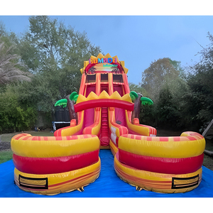 Vente en gros : Nouveau design Toboggan aquatique gonflable Dolphin à double piste Blue Crush avec deux piscines de plongeon pour enfants et adultes - Product Image 3