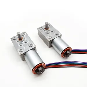 12V 24V Elektrische RK370 Borstel Dc Wormwiel Motor