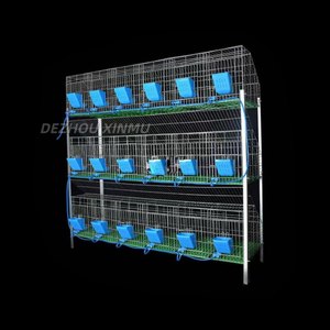 กรงกระต่ายเพื่อการค้าระยะยาว24ตำแหน่งบ้านกระต่ายไร้มูลสัตว์ - Product Image 6