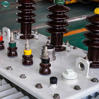 Transformateur immergé dans l'huile 100KVA haute capacité 20KV 110V pour les besoins en énergie à grande échelle