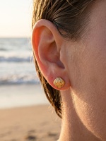 Nouveautés tendance : boucles d'oreilles en forme de coquillage en acier inoxydable plaqué or 18 carats, thème plage et mer, pour femmes