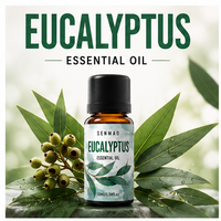 Huile essentielle d'eucalyptus pure et naturelle ; Améliore la respiration et offre des propriétés antibactériennes, idéale pour la parfumerie d'intérieur.