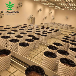 Longueurs personnalisables 2 'x 8' 3 'x 8' 4 'x 8' 5 'x 8' table de plateau d'inondation hydroponique Ebb and Flow Grow Bancs roulants - Product Image 1