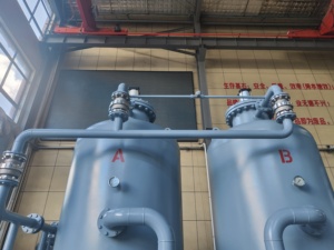 Principio di purificazione dell'aria del setaccio molecolare del carbonio separazione di adsorbimento del generatore di azoto