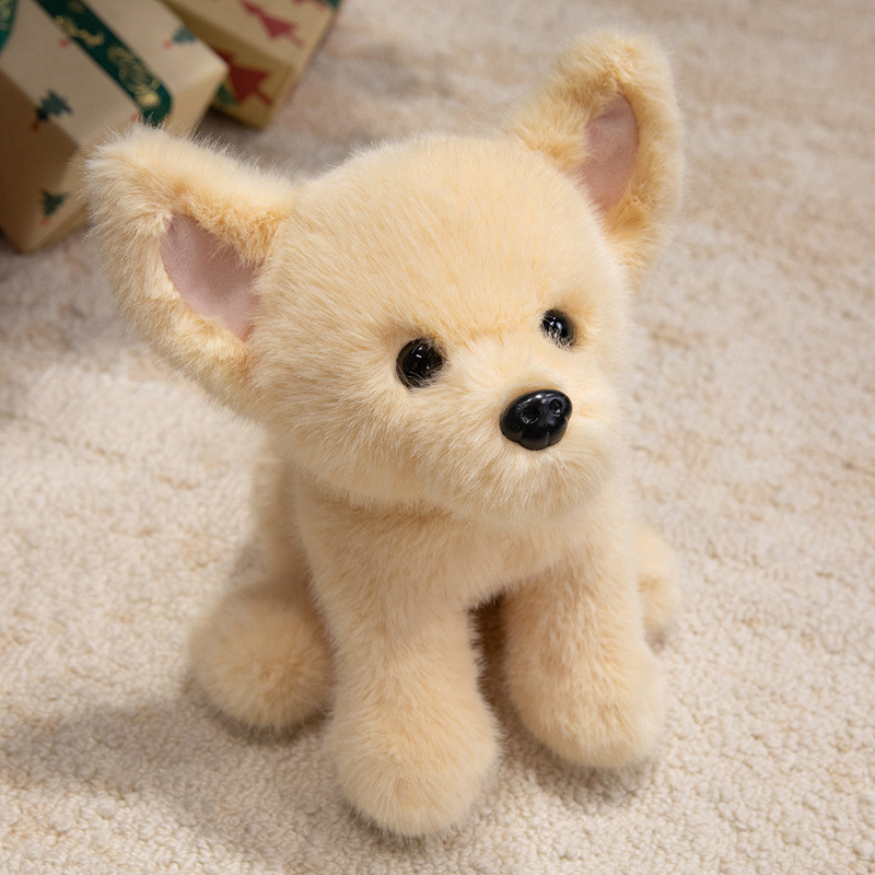 Chihuahua